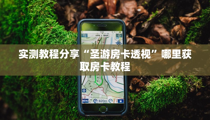 实测教程分享“圣游房卡透视”哪里获取房卡教程