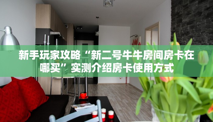 新手玩家攻略“新二号牛牛房间房卡在哪买”实测介绍房卡使用方式