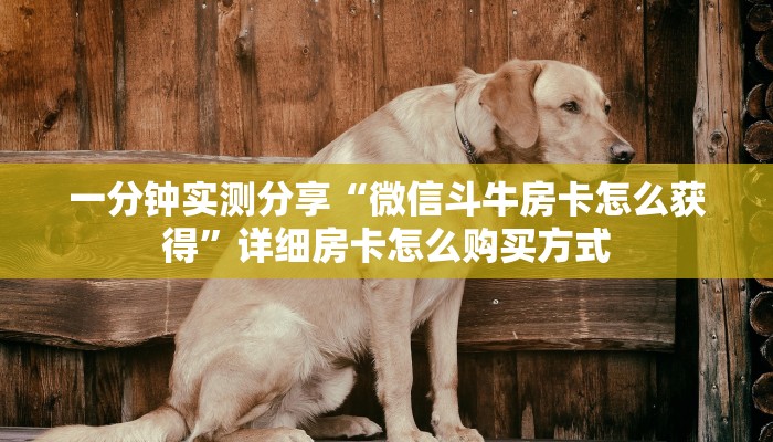 一分钟实测分享“微信斗牛房卡怎么获得”详细房卡怎么购买方式