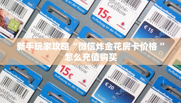 新手玩家攻略“微信炸金花房卡价格 ”怎么充值购买